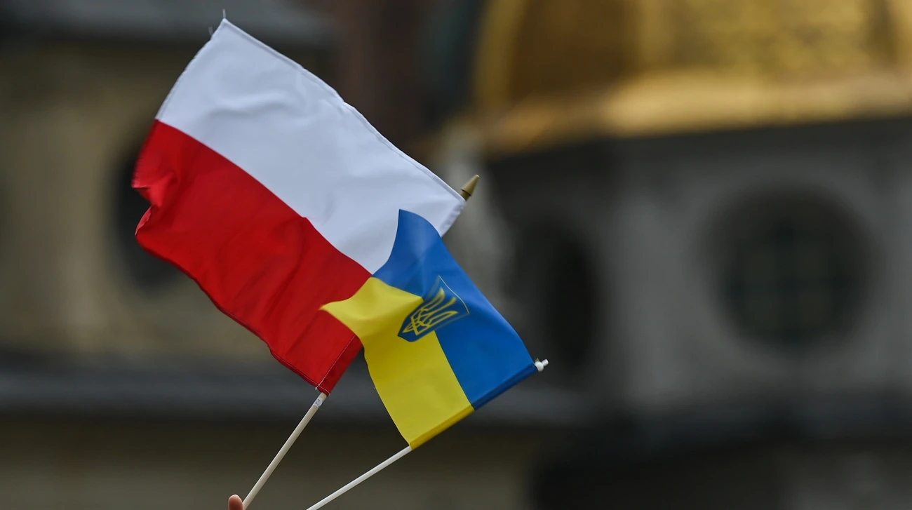 Розподіл відповідей опитування IBRiS щодо депортації українських чоловіків призовного віку в Польщі
